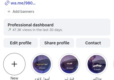 1000093384